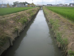 整備されていない用水護岸