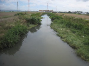 整備された用水護岸