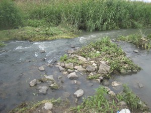 自然な川の流れが生まれています