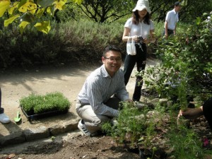 苗植えをする岩本