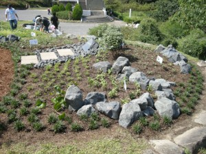 お花畑にも溶融スラグ石材が使われています