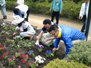 苗植えの様子