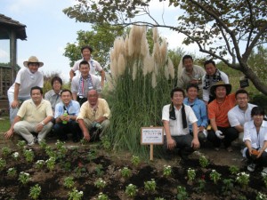 きれいなお花畑が完成