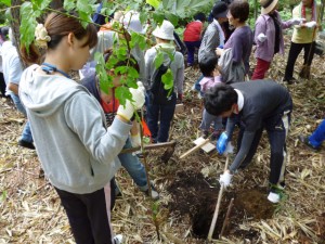 皆さんとともに木を植えてます