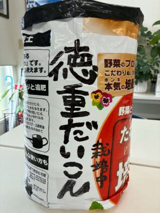 あいちの伝統野菜、徳重だいこん